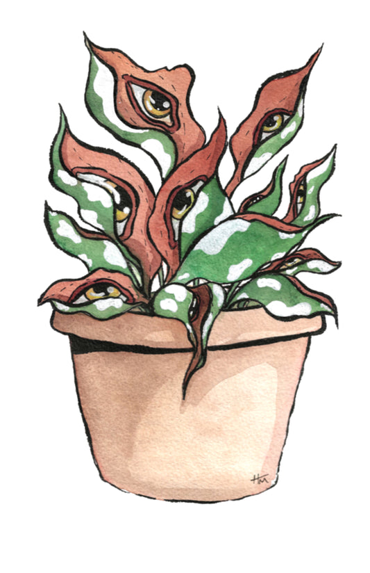 Plant Eye 11x17 Print