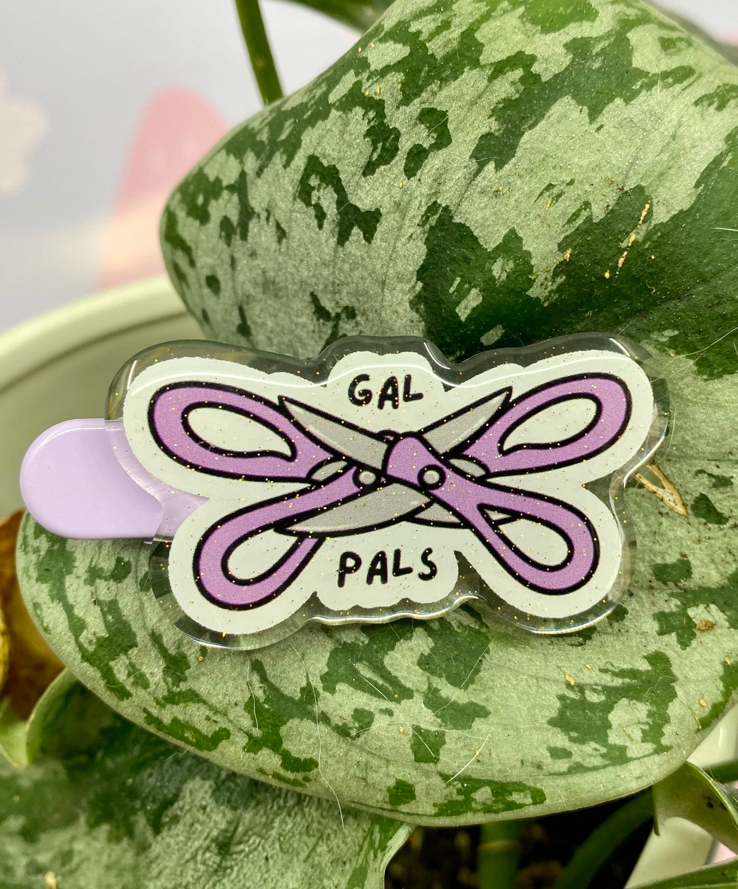 Gal Pals Acrylic Hair Clip